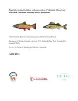 FISHES_wbt report_2021_04_13